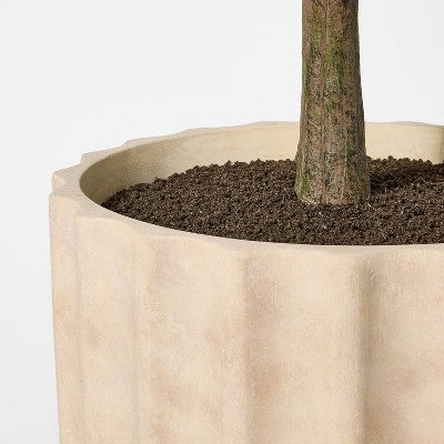 Shady Lady Tree In Ceramic Pot - Threshold™ Designed With Studio McGee
