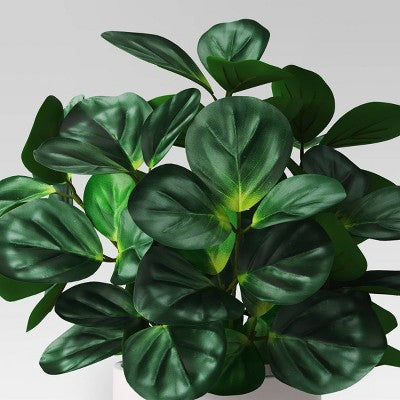  Green Leaf Plant In White Pot - Threshold™