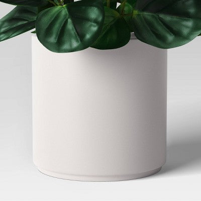  Green Leaf Plant In White Pot - Threshold™