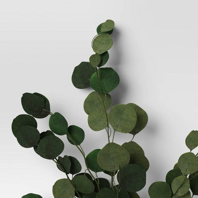  Preserved Eucalyptus Bundle - Threshold™