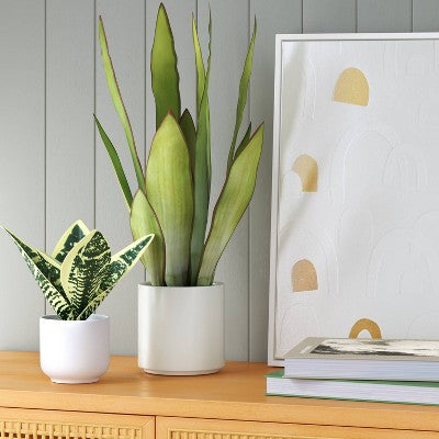  Large Artificial Snake Plant - Threshold™: 21" Faux Flora In Stoneware Pot For Indoor Decor