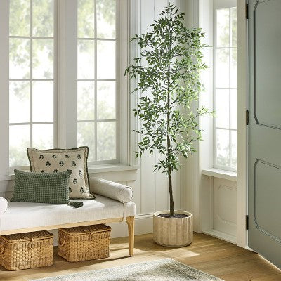  Shady Lady Tree In Ceramic Pot - Threshold™ Designed With Studio McGee