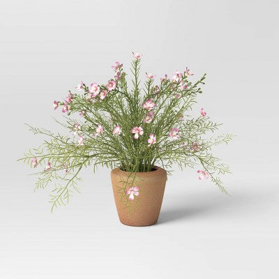  Earthenware Weathered Indoor/Outdoor Planter Pot - Threshold™ Designed With Studio McGee