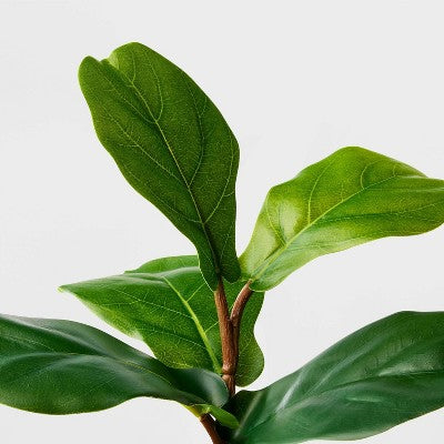  8" Fiddle Leaf Arrangement - Threshold™
