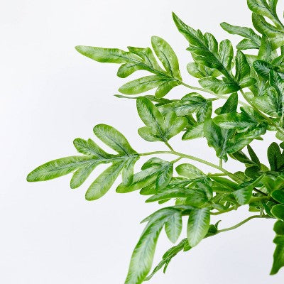  Small Artificial Ribbon Fern Leaf In Pot - Threshold™ Designed With Studio McGee