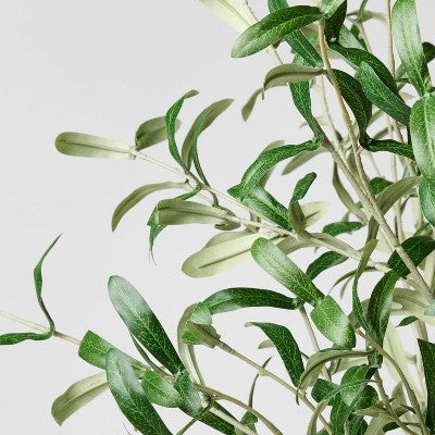  Olive Leaf Potted Arrangement - Threshold™ Designed With Studio McGee