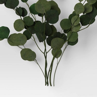  Preserved Eucalyptus Bundle - Threshold™