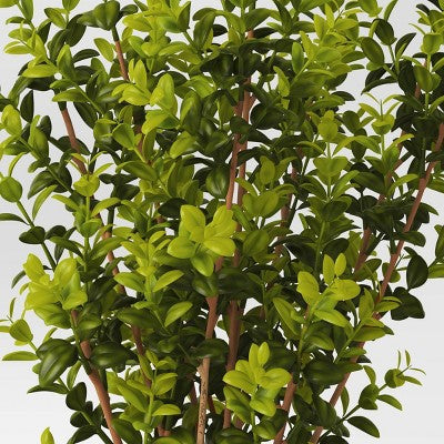  Artificial Medium Boxwood In Terracotta Pot Green - Threshold™ Designed With Studio McGee