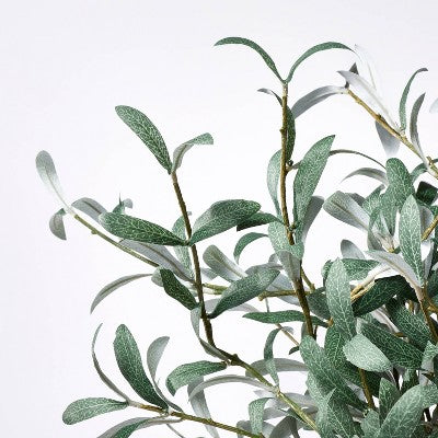  Olive Leaf Arrangement - Threshold™ Designed With Studio McGee