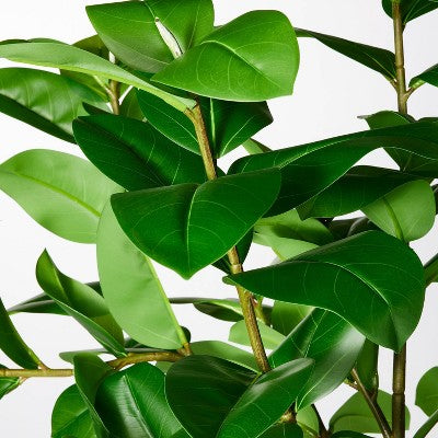  Ficus Tree - Threshold™ Designed With Studio McGee